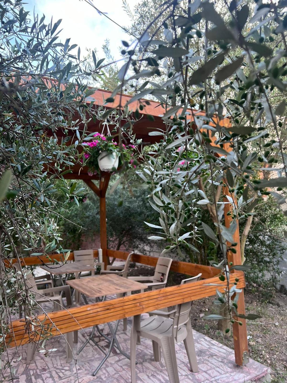 Vila Magis Vlorë 外观 照片