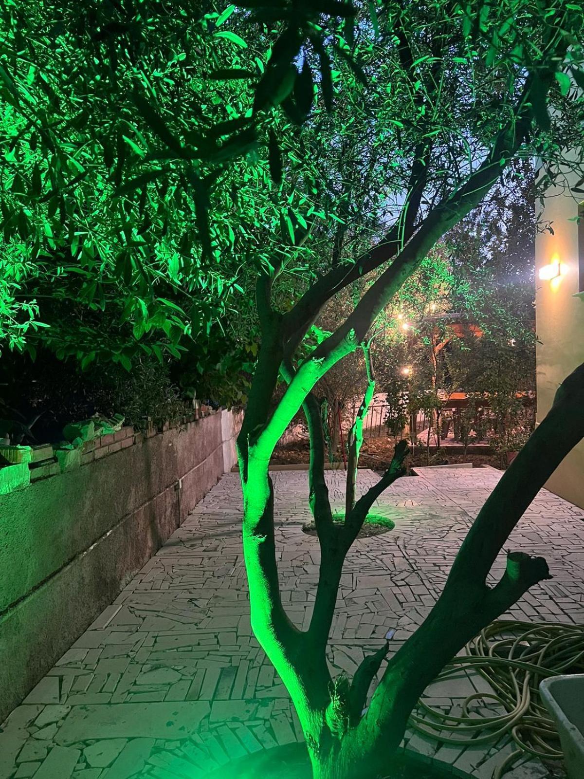 Vila Magis Vlorë 外观 照片