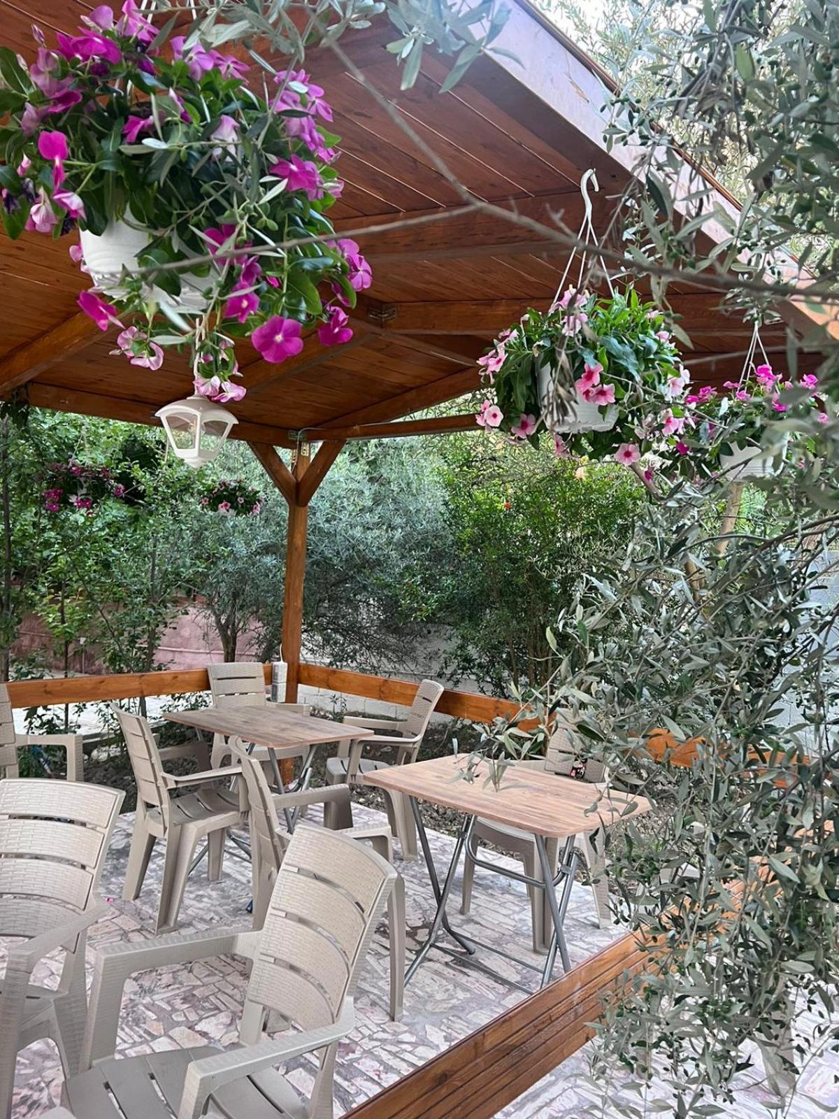 Vila Magis Vlorë 外观 照片