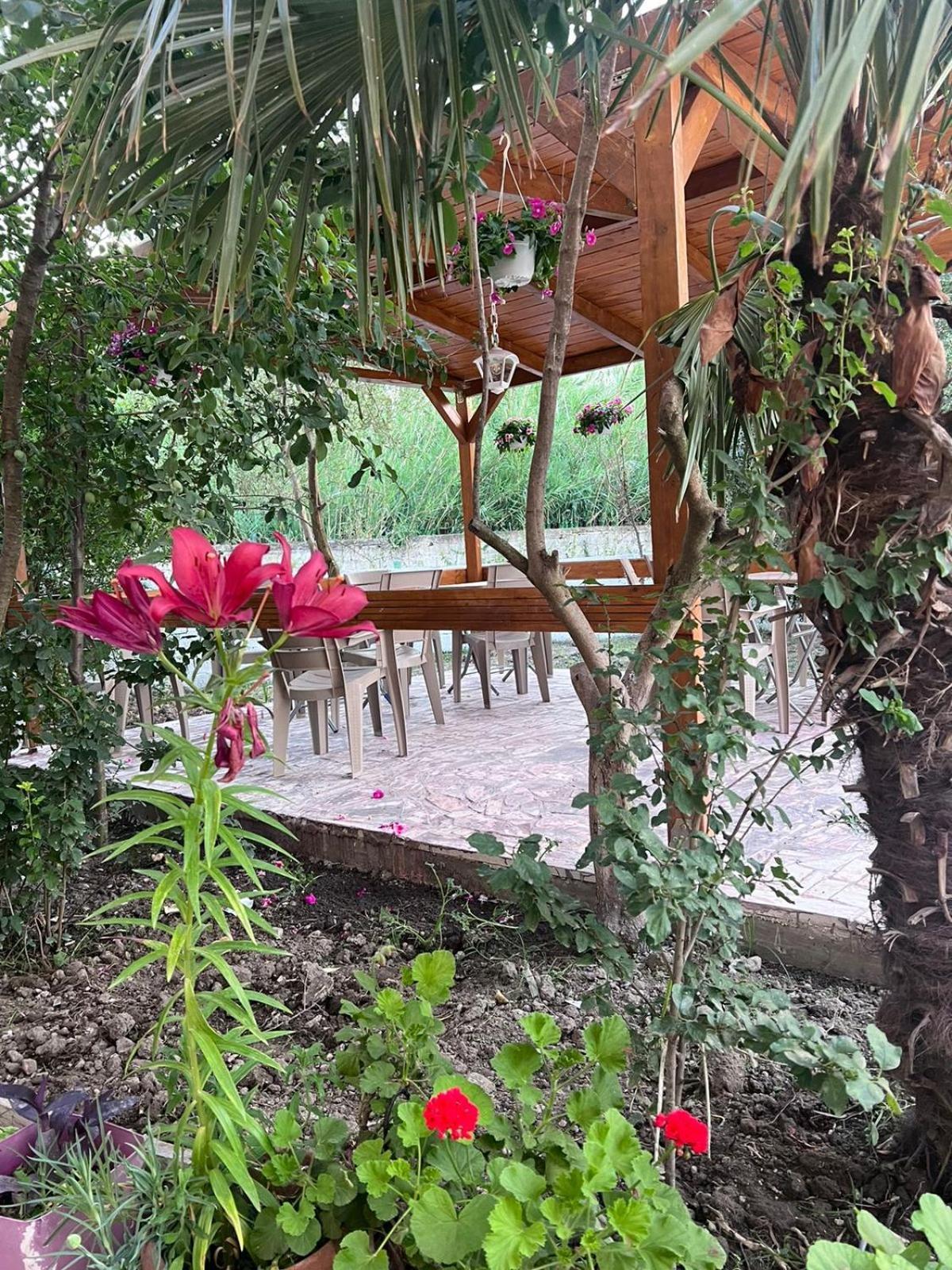 Vila Magis Vlorë 外观 照片